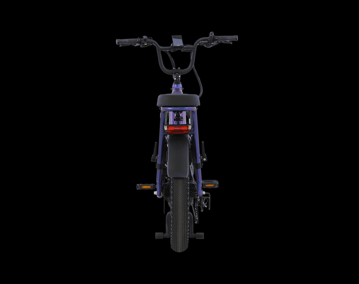 AIMA Big Sur U Cargo Ebike