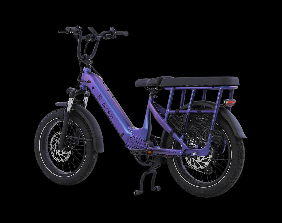 AIMA Big Sur U Cargo Ebike