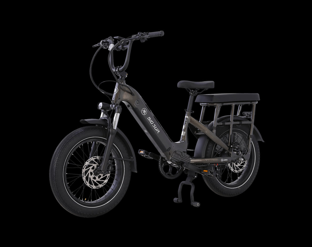 AIMA Big Sur U Cargo Ebike
