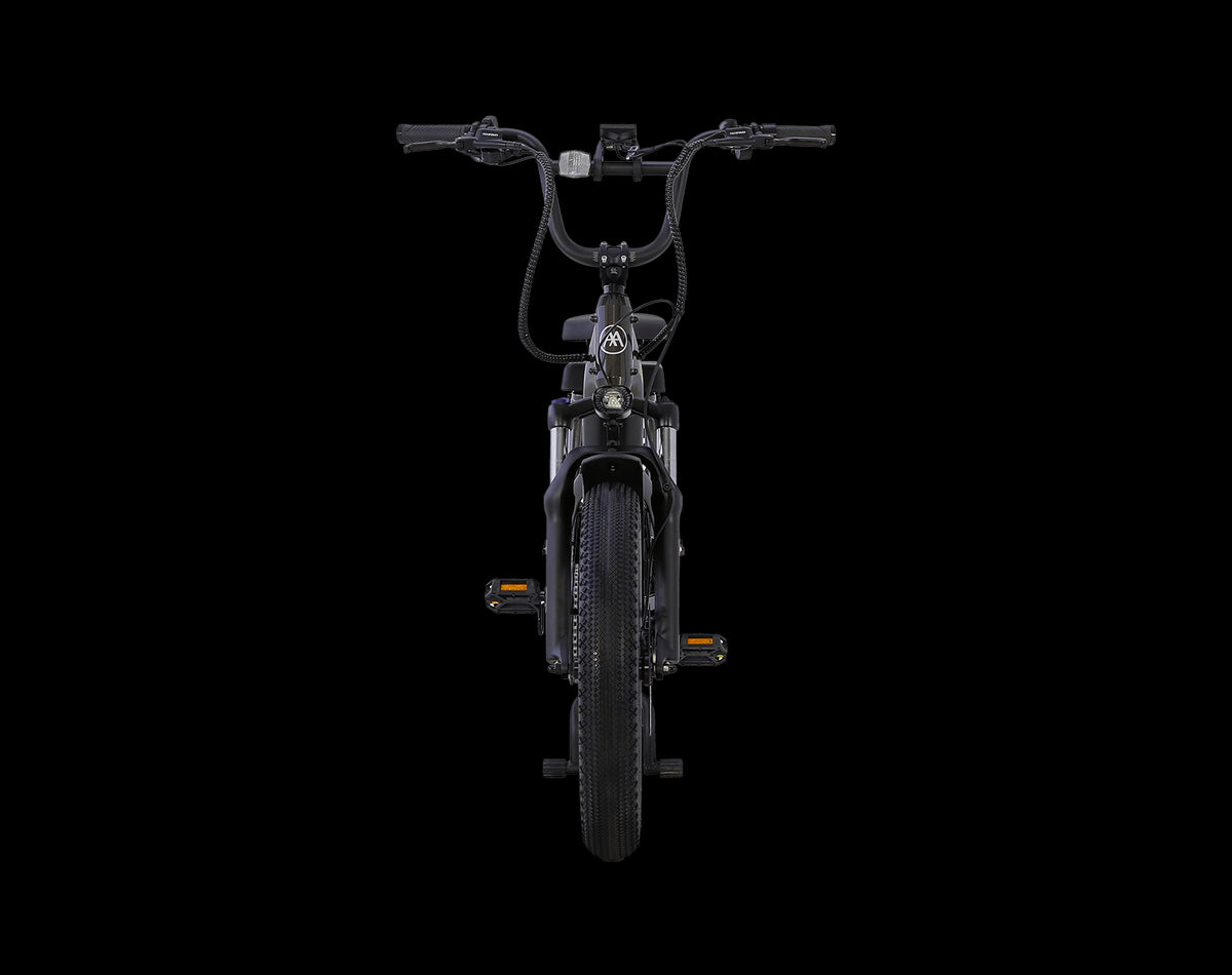 AIMA Big Sur U Cargo Ebike