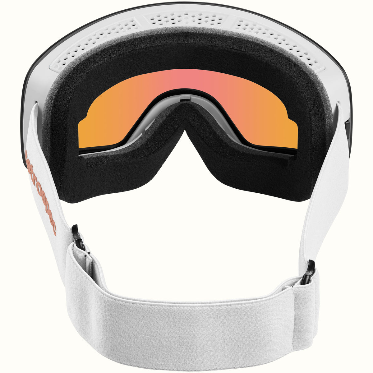 Flume Ski & Snowboard Goggles