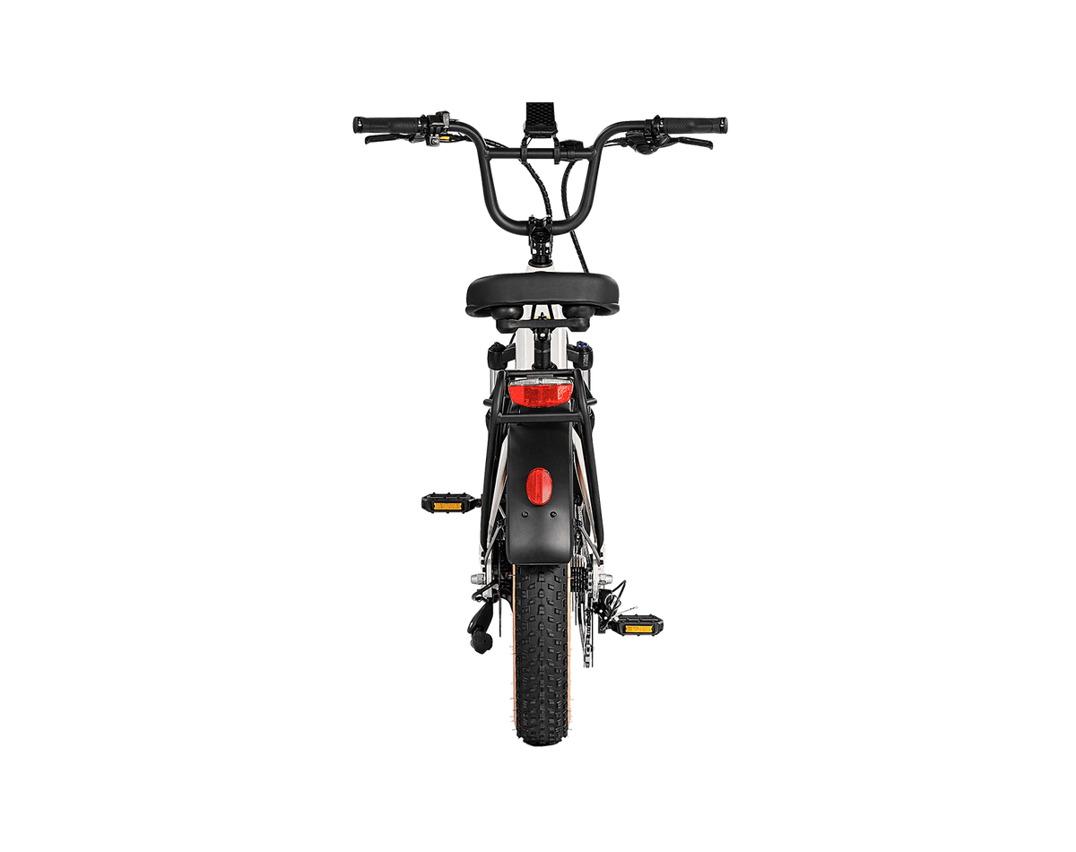 Aima Big Sur Sport Ebike