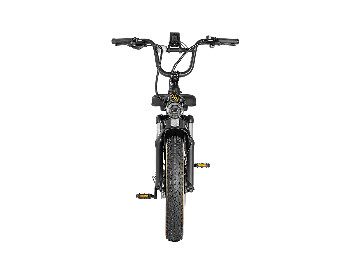 Aima Big Sur Sport Ebike
