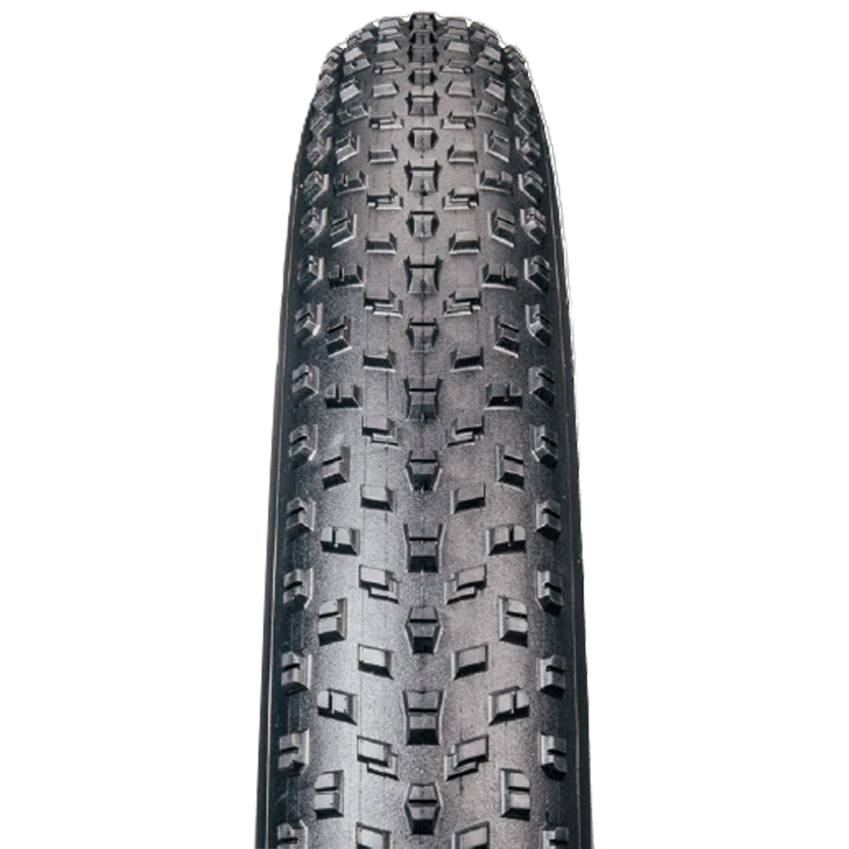(E-GQ-20-4.0) GIRTHQUAKE 20 x 4.0 W/Reflective Sidewall Fat Tire