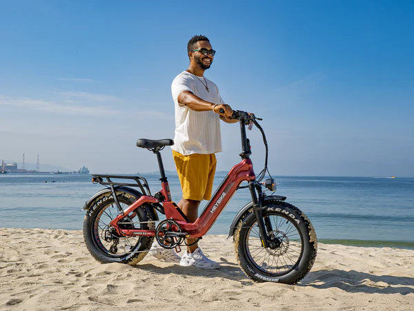 Heybike Ranger 3.0 Pro The Flagship Comfort Folding 20"x4" Fat-tire Ebike