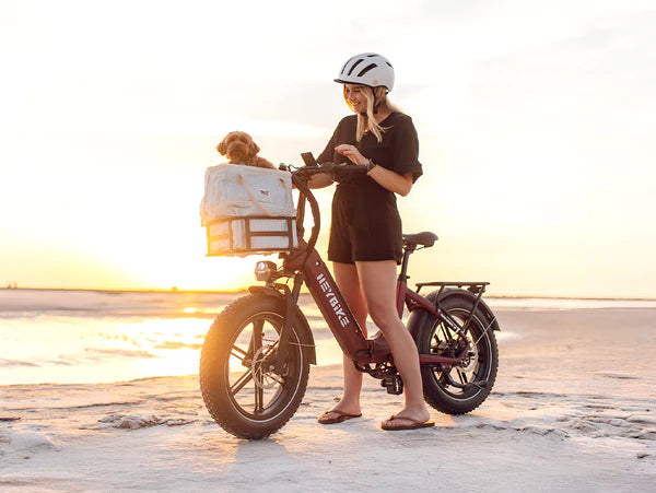 Heybike Ranger S Powerful Folding E-bike with Fat Tires for Versatile Usages-Blue