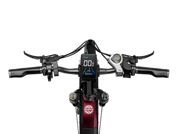 Heybike Ranger S Powerful Folding E-bike with Fat Tires for Versatile Usages-Blue