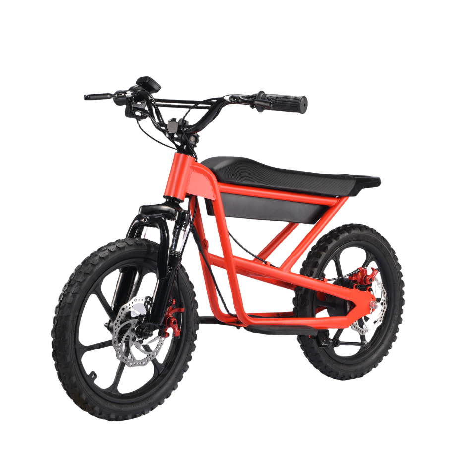 Zerooxride Kids Electric Dirtbike ZXR-16Pro
