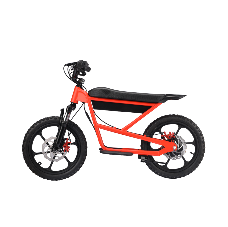 Zerooxride Kids Electric Dirtbike ZXR-16Pro