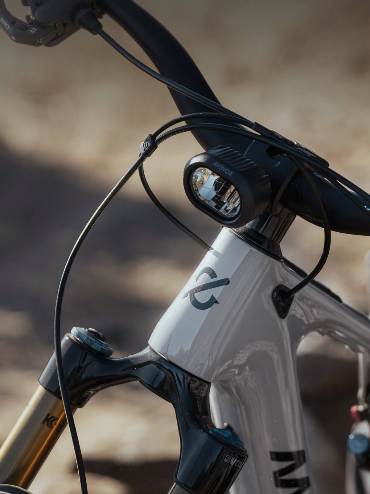 Amflow PX Carbon Pro Electric Mountain Bike