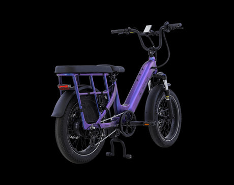 AIMA Big Sur U Cargo Ebike