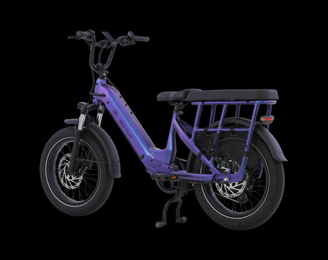 AIMA Big Sur U Cargo Ebike