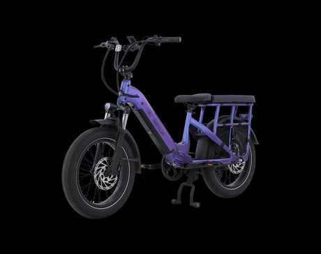 AIMA Big Sur U Cargo Ebike