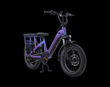 AIMA Big Sur U Cargo Ebike