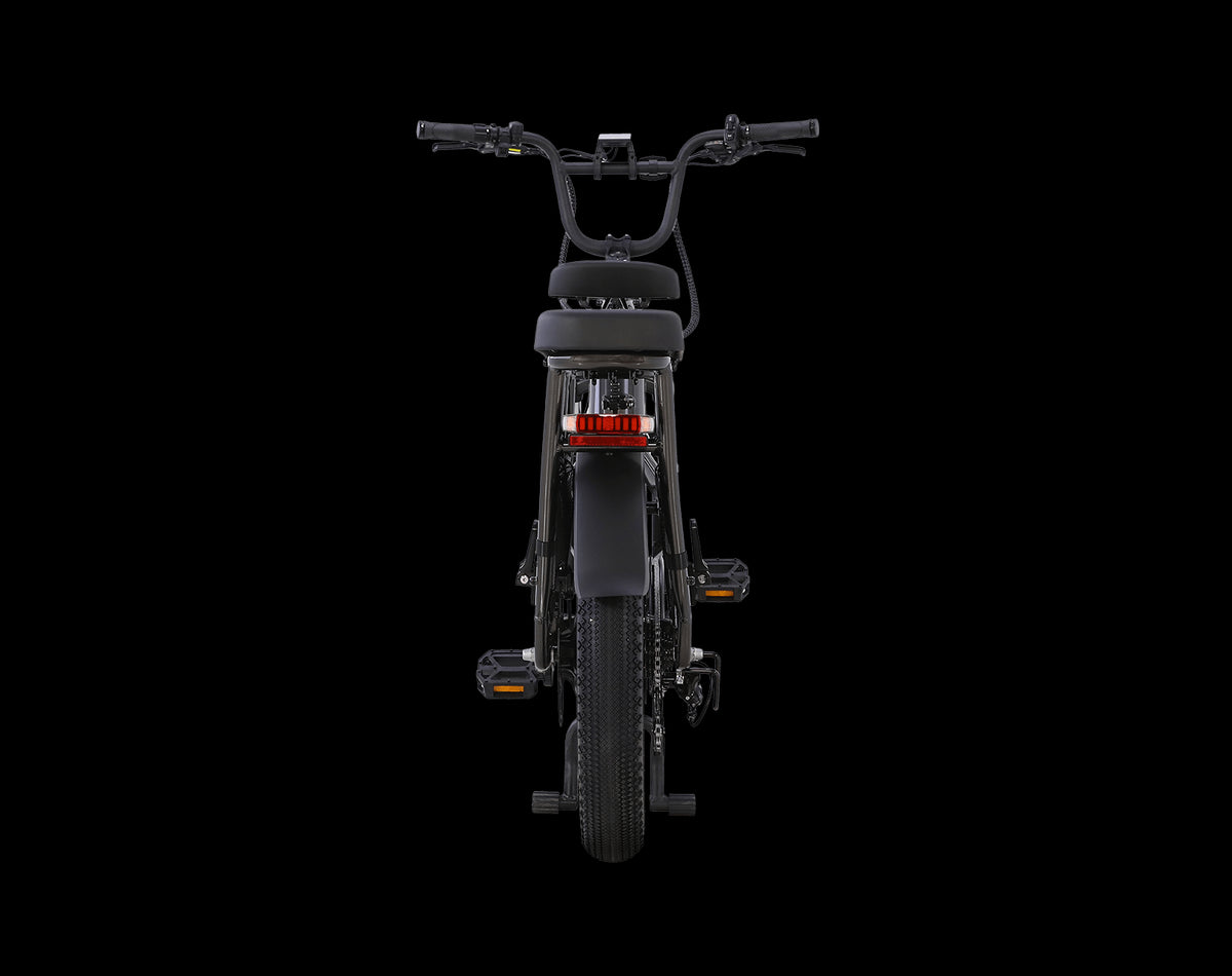 AIMA Big Sur U Cargo Ebike