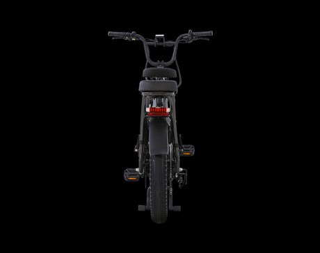 AIMA Big Sur U Cargo Ebike