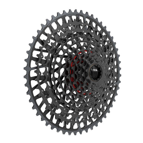 XS-1295 X0 Eagle T-Type