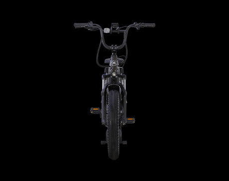 AIMA Big Sur U Cargo Ebike