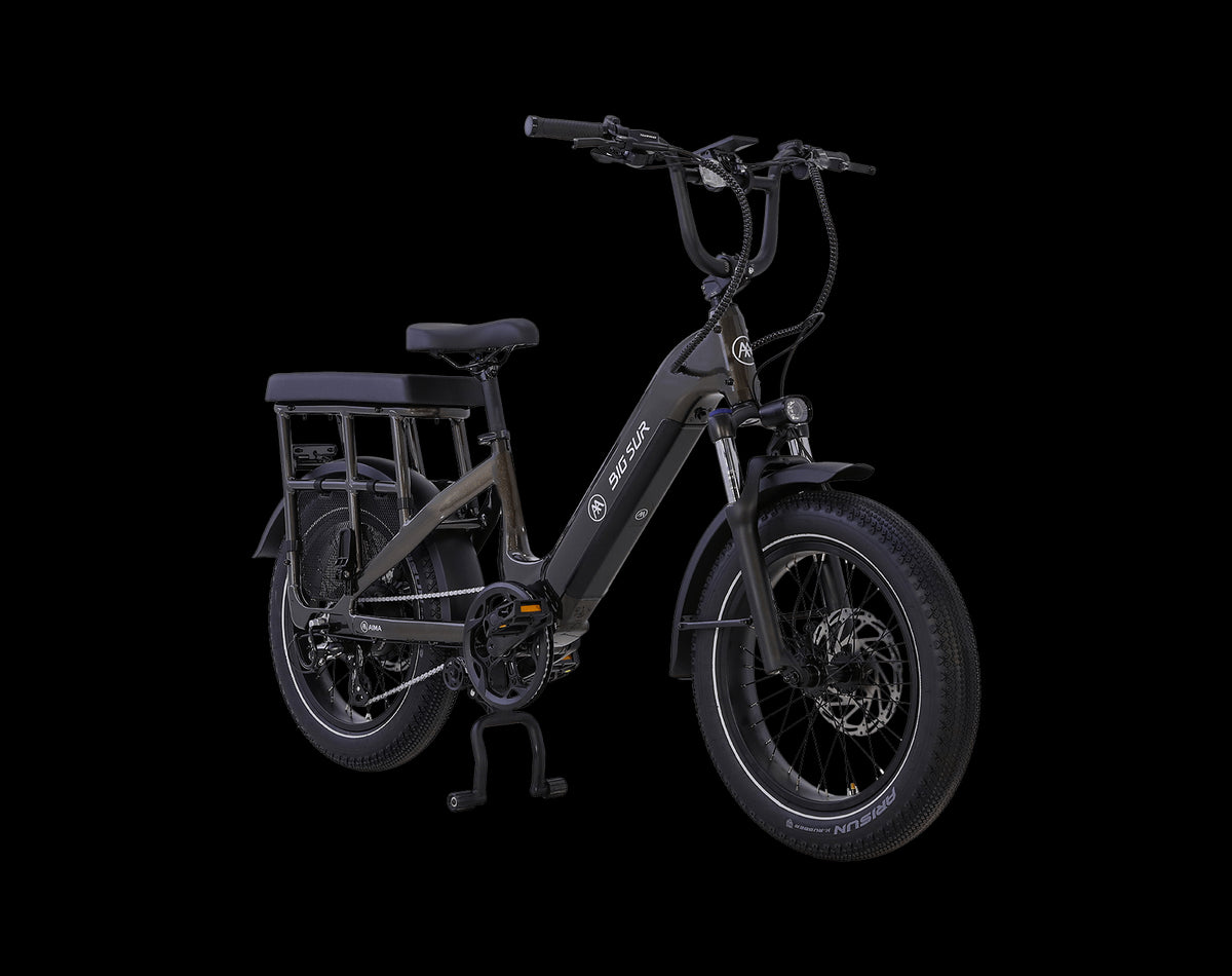 AIMA Big Sur U Cargo Ebike