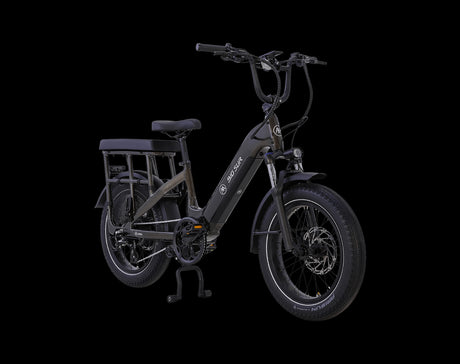 AIMA Big Sur U Cargo Ebike