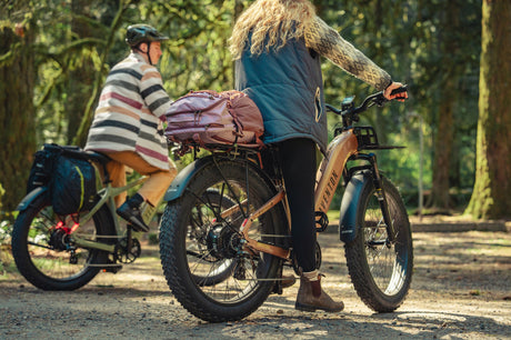 Aventon Aventure 3 Ebike