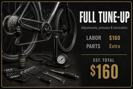 TUNE-UP & BIKE ASSEMBLY