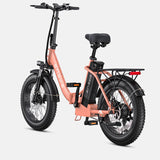 ENGWE L20 2.0 750W 75N.m 68 Miles Step-Thru Utility E-bike（Front Basket Excluded）