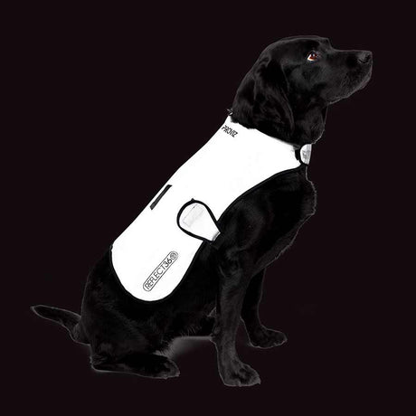 Dog Cover