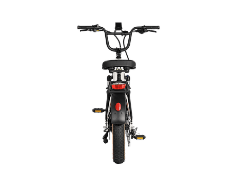 Aima Big Sur Sport Ebike