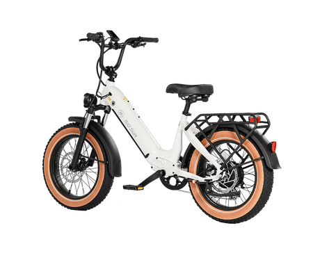 Aima Big Sur Sport Ebike