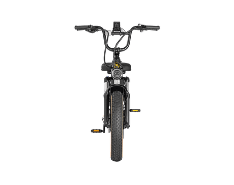 Aima Big Sur Sport Ebike
