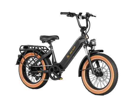 Aima Big Sur Sport Ebike