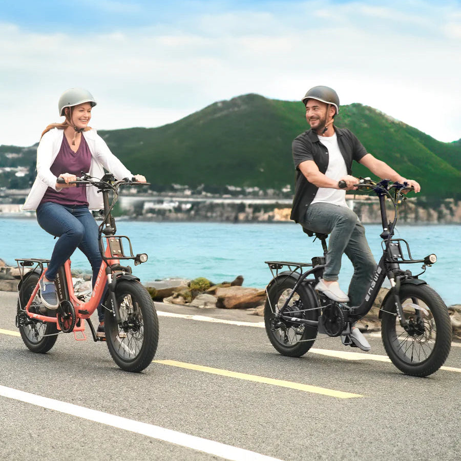ENGWE L20 2.0 750W 75N.m 68 Miles Step-Thru Utility E-bike（Front Basket Excluded）