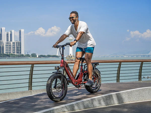 Heybike Ranger   3.0   Pro The Flagship Comfort Folding 20"x4" Fat-tire Ebike