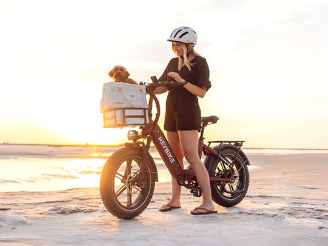 Heybike Ranger  S Powerful Folding E-bike with Fat Tires for Versatile Usages-Blue