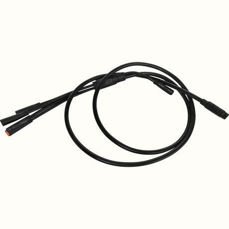 Abbot Rev Wiring Harness