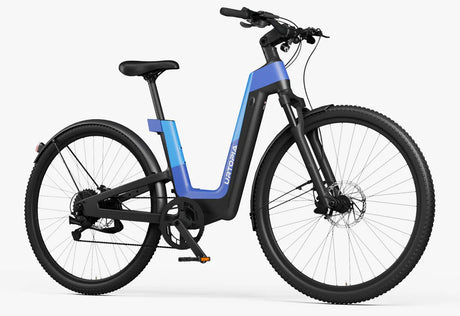 Carbon Fusion Pro E-Bike