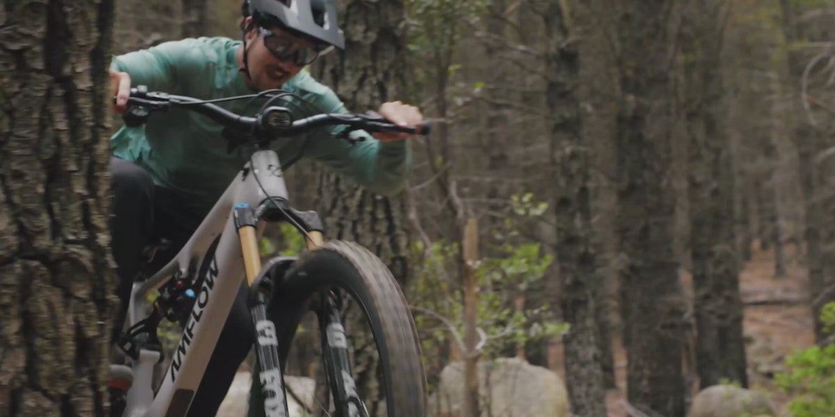 Amflow PX Carbon Pro Electric Mountain Bike
