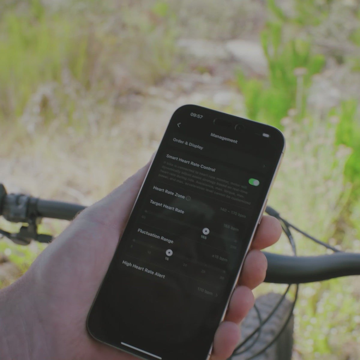 Amflow PR Carbon Electric Mountain Bike