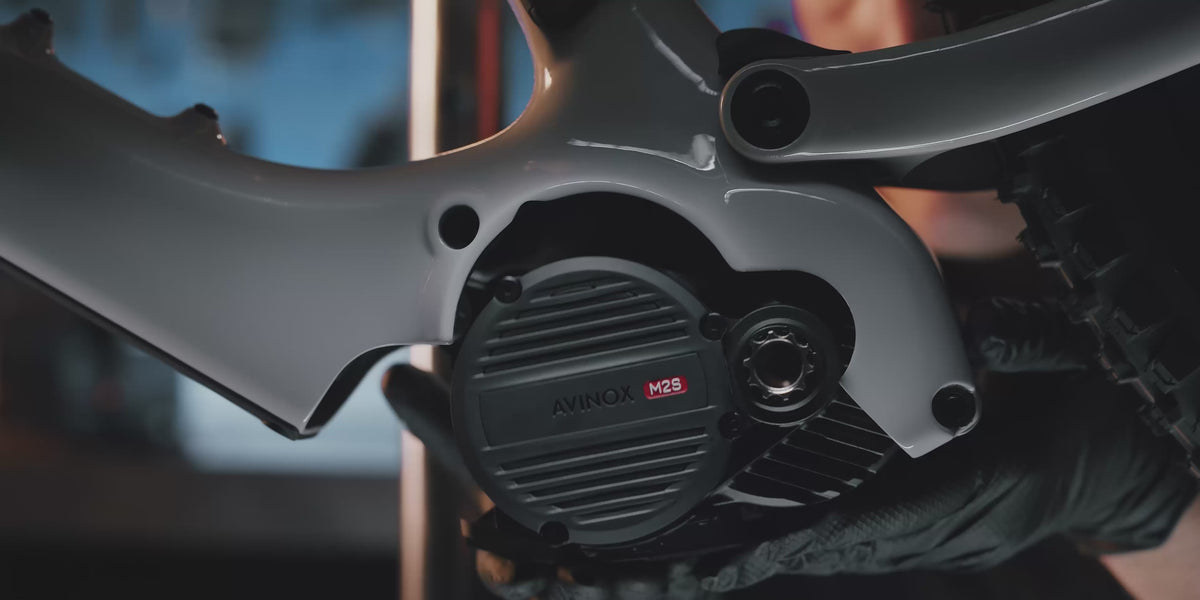 Amflow PX Carbon Pro Electric Mountain Bike