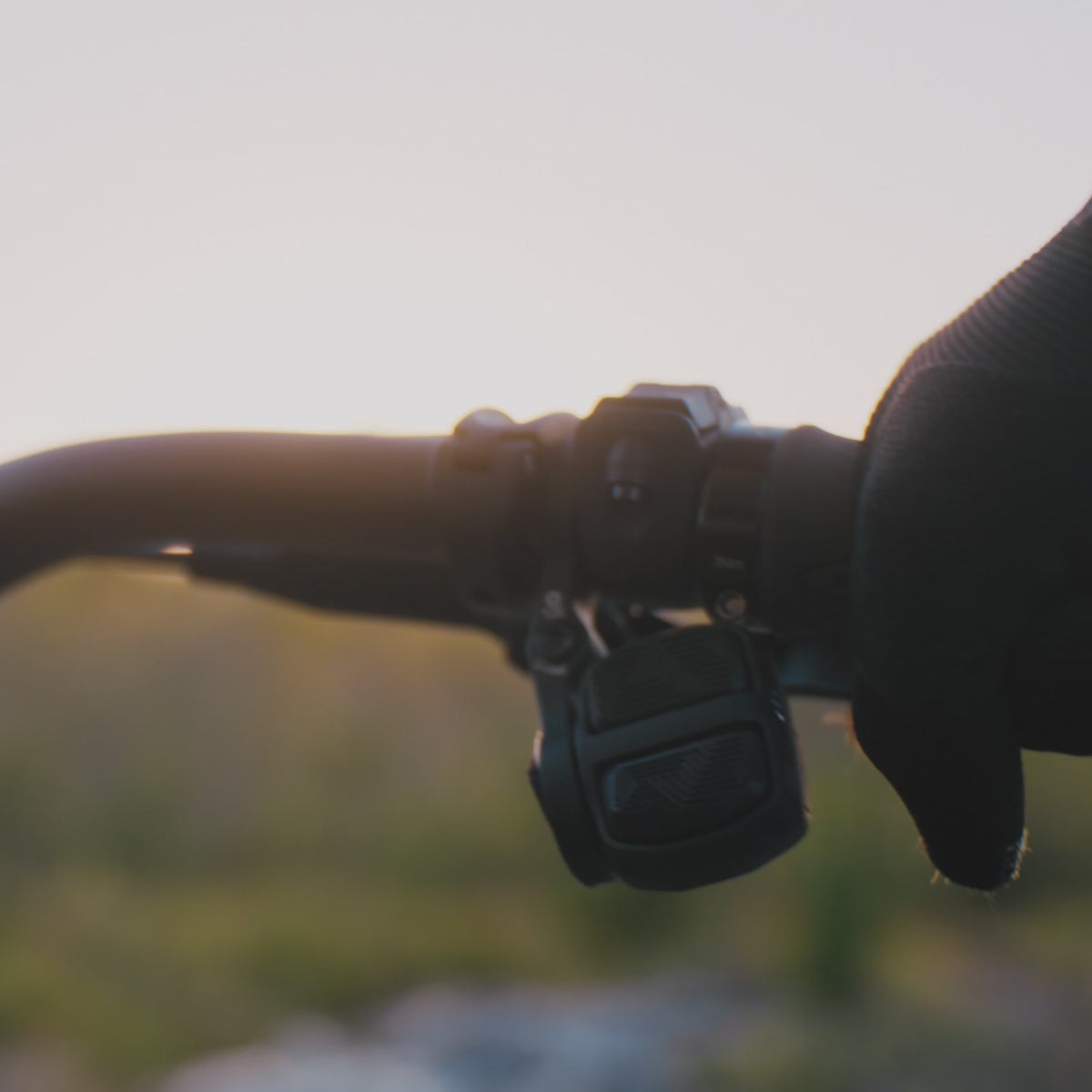 Amflow PR Carbon Electric Mountain Bike
