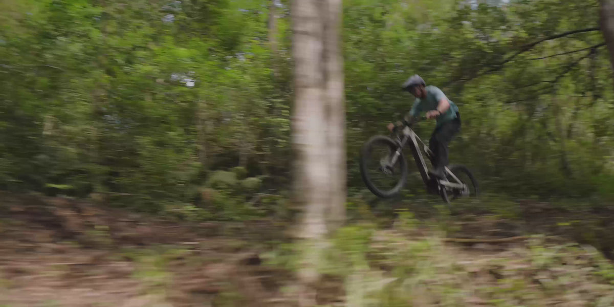 Amflow PR Carbon Electric Mountain Bike