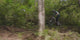 Amflow PR Carbon Electric Mountain Bike