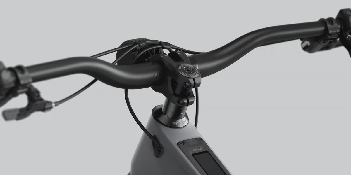 Amflow PR Carbon Pro Electric Mountain Bike