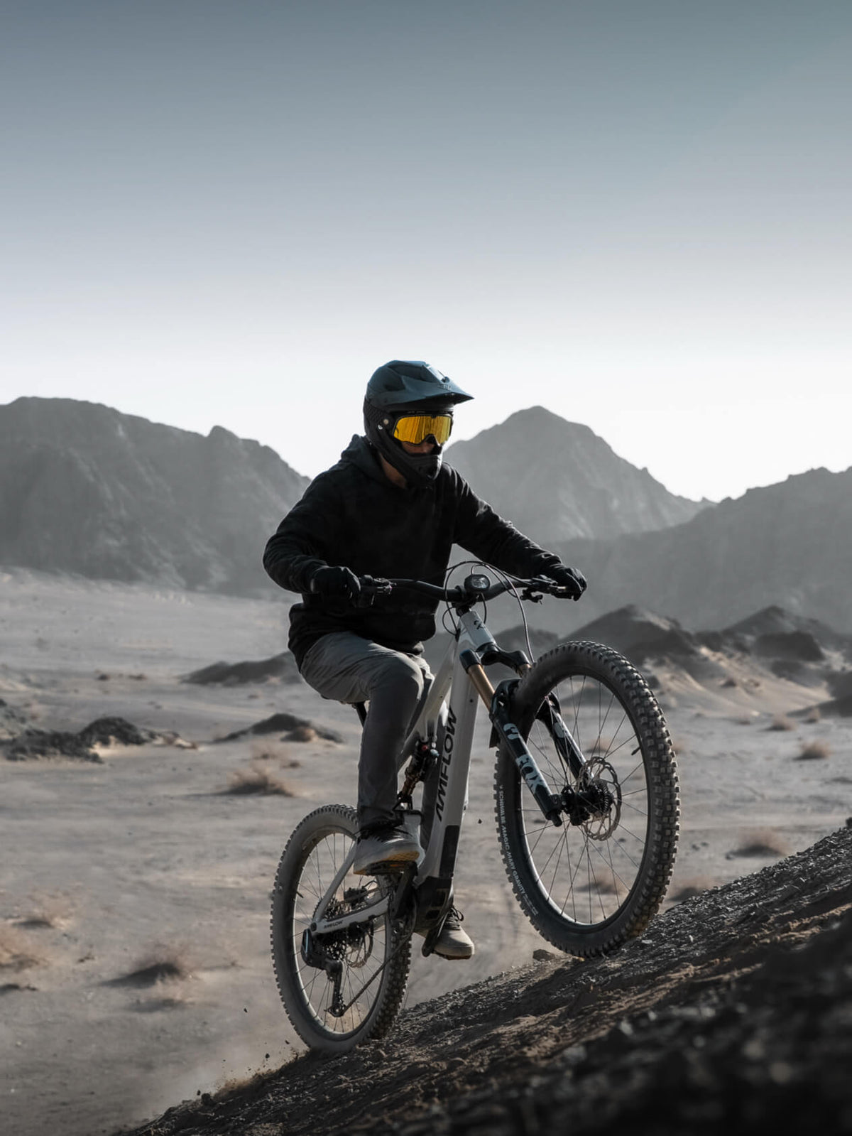Amflow PX Carbon Pro Electric Mountain Bike