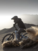 Amflow PX Carbon Pro Electric Mountain Bike